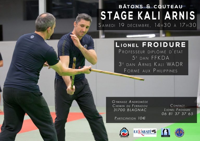 stage arnis kali lionel froidure à Blagnac Toulouse